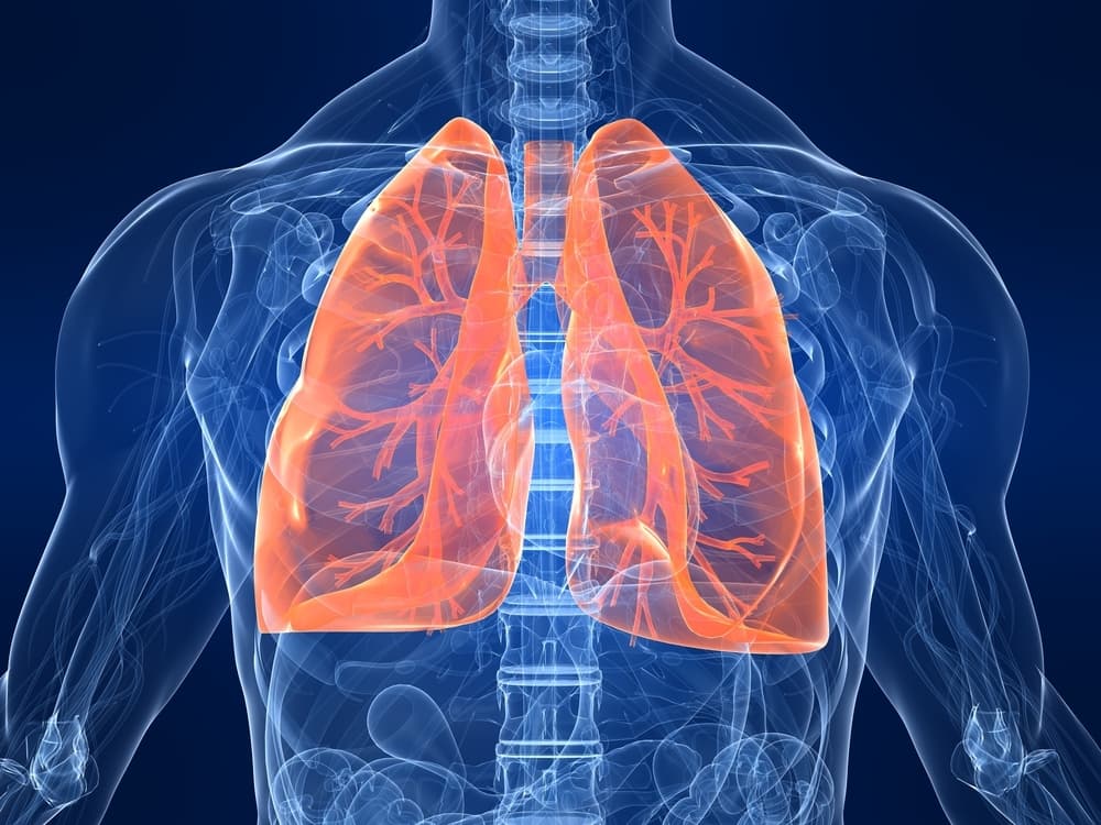 Why Are the Majority of Indians With Lung Cancer Nonsmokers?