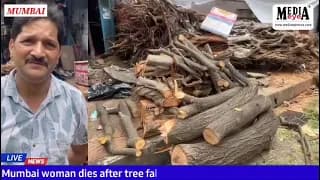 Tree collapse kills woman
