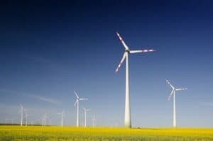 TN Clears ₹441B in Investment Proposals, Greenlights 3 Renewable Energy Policies