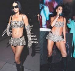 Katy Perry Makes a Statement With Daring Dress Choice