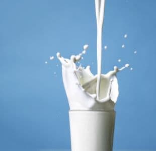 From September 1 Price of Bulk Buffalo Milk in Mumbai  Will Rise by Rs 2 P Litre