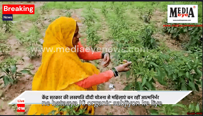 Jhansi's Rachna Became ‘Lakhpati Didi’ With the Help of Organic Farming