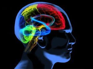 Why Prostate Cancer Increases the Chance of Alzheimer’s