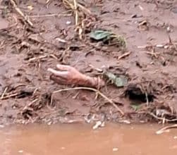 Wayanad Landslides: What Exactly Happened?