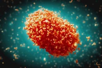 Govt On Mpox in India:  Do Not Panic, Minimal Chances of Covid-Like Pandemic