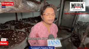 Varanasi’s Vandya Has Been Cultivating Mushrooms For 25 years, Business worth Crores Generated Annually