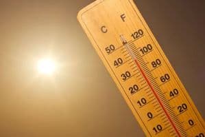 2024 to be The Warmest Year; August Was Recorded Hottest Month Globally