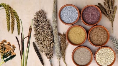 Indian Food Consumption Practice of Limiting Food Waste and More Veg Diets Most Climate-Friendly, Says Report