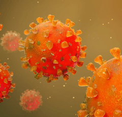  How Covid Virus Defeats Body’s Immune Response