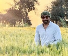 Sunny Deol Prepares for Baisakhi in the Fields, Embraces His 'Jaat' Roots