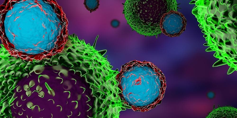 Scientists Develop Method to Expose Cancer Cells to Immune System