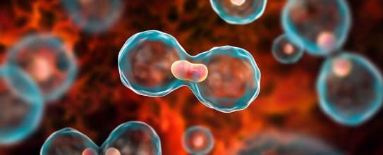 Oxidative Stress Linked With Development of Cancer & Neurological Diseases