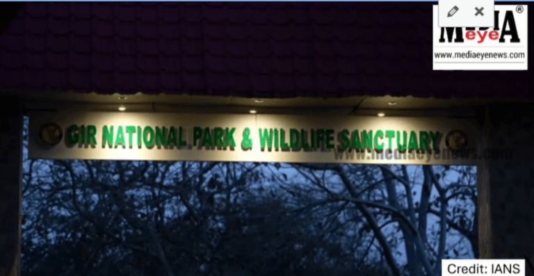 World Wildlife Day, March 3rd: Glimpses of Prime Minister Narendra Modi’s Visit to Gir National Park in Gujarat