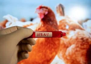 Younger Adults, Kids Will Benefit More From H5N1 Vaccines: Study