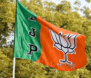 BJP Distances Itself From Party MPs' Remarks on Judiciary
