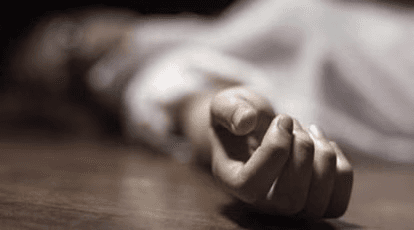 Kerala: 22-Year-Old Youth Trampled to Death By Wild Elephant in Palakkad