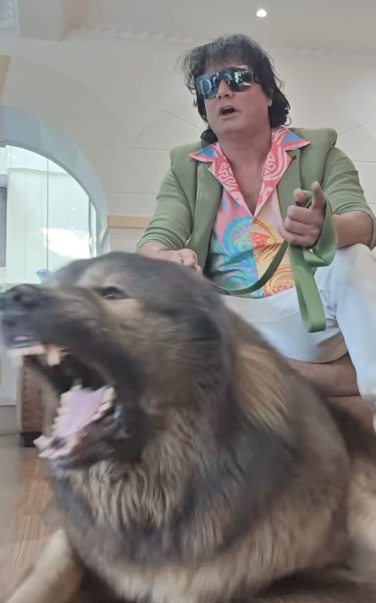 ED Raids Bengaluru Dog Breeder Who Claimed to Own Rs 50-Crore Canine