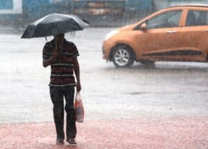 2025 Southwest Monsoon Likely To Be Above Normal, Says IMD’s Long Range Forecast