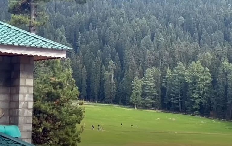 PM Modi Vows 'Harshest Response' to Pahalgam Terror Attack, Assures Justice For Victims
