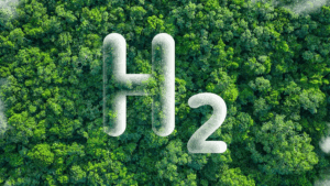 India, EU To Find Solutions For Marine Plastic Litter, Waste To Green Hydrogen