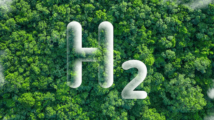 India, EU To Find Solutions For Marine Plastic Litter, Waste To Green Hydrogen