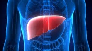 Study Shows How Plastic Particles In Food, Beverages Can Harm Your Liver