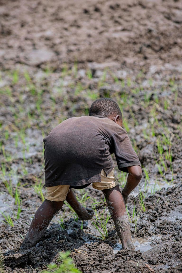 Survey Reveals 64% of Adults Are Aware Child Labour Exists