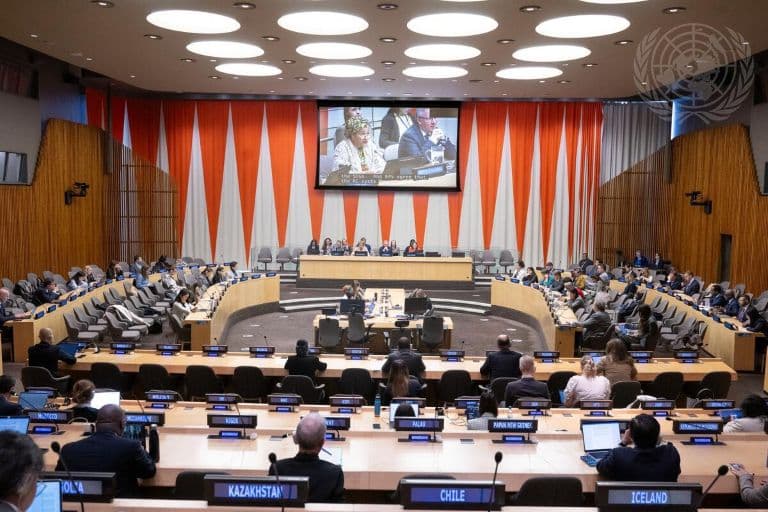 India Elected to UN Economic and Social Council With Pledge To Champion Development