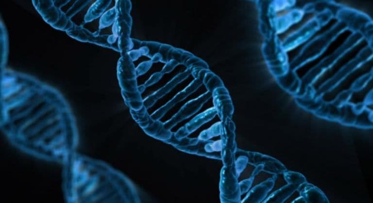 Gene Essential For Vitamin D Absorption May Boost Cancer Treatment
