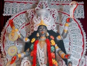 Red Hibiscus Prices Skyrocket in Kolkata on Kali Puja Festival Day