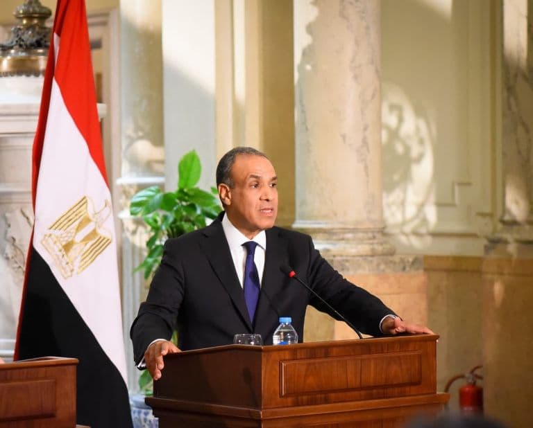 Egypt Keen on Having an Indian Industrial Zone Alongside Suez Project: FM Abdelatty