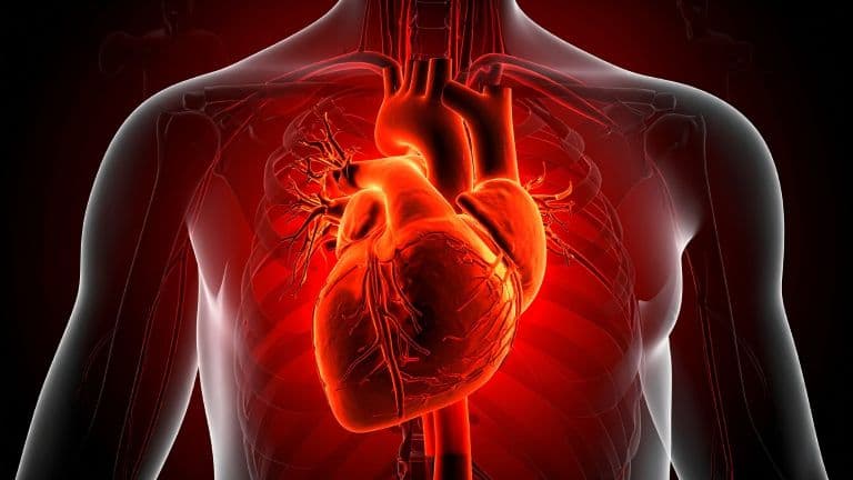 Heart Disease, Stroke and Diabetes Leading Death and Disability Worldwide: The Lancet