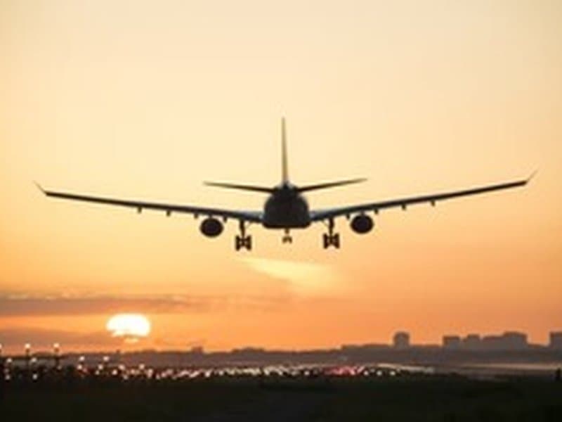 Parliamentary Panel May Summon Airline Chiefs Amid Nationwide Air Travel Disruption