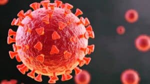 AIIMS Study Finds No Link Between Covid-19 Vaccines and Sudden Deaths Among Young Adults