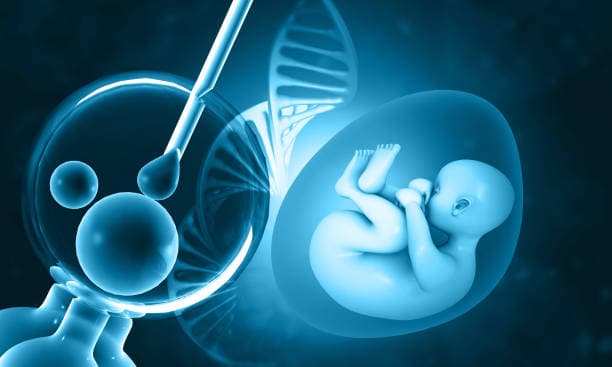 Age Limits and Assisted Reproductive Technology: Understanding the Law and the Logic behind It