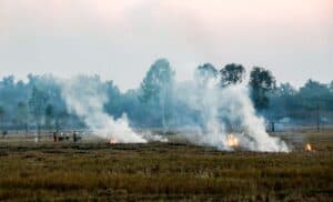 NASA Warns Late-Day Crop Fires in North India Hamper Stubble Burning Monitoring