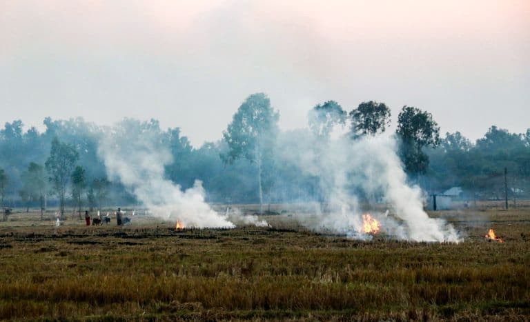 NASA Warns Late-Day Crop Fires in North India Hamper Stubble Burning Monitoring