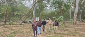 Leopards, Jackals Spotted in Chandigarh’s Sukhna Wildlife Sanctuary, Confirms Chief Wildlife Warden