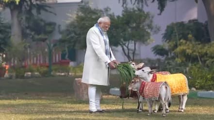 PM Modi Celebrates Makar Sankranti by Feeding Decorated Cows at Delhi Residence