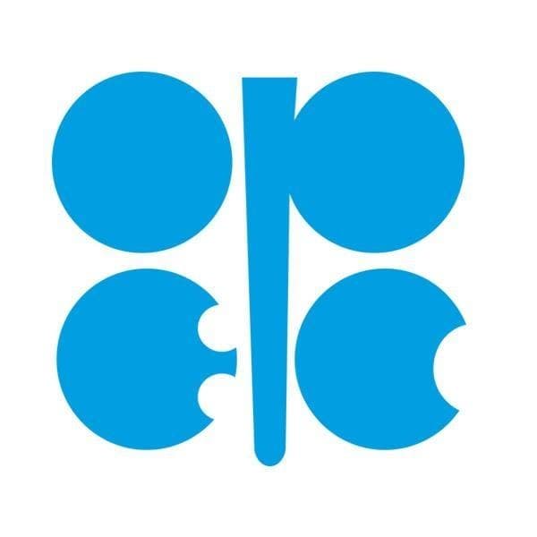 UAE Considered Exiting OPEC Over Oil Quota Concerns: Former Indian Envoy Navdeep Singh Suri