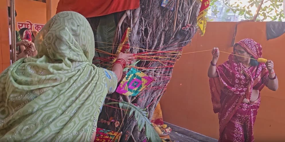 Married Hindu Women Observe Vat Savitri Vrat Across India With Traditional Rituals and Prayers