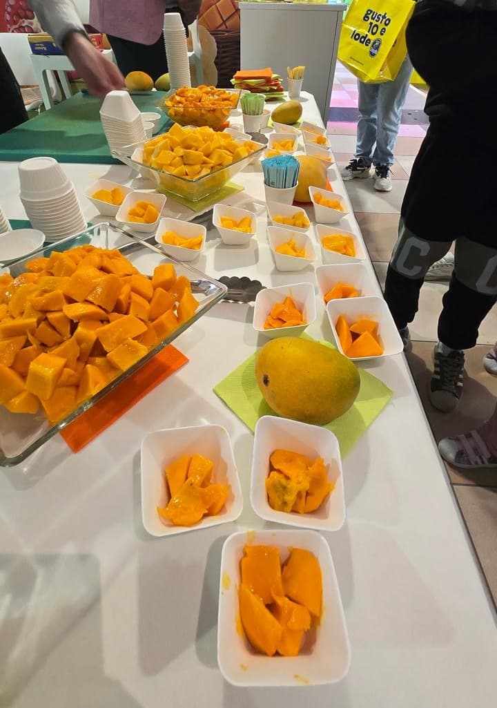 Indian Mangoes Re-Enter Seattle Market as Exports Expand Across US Pacific Northwest