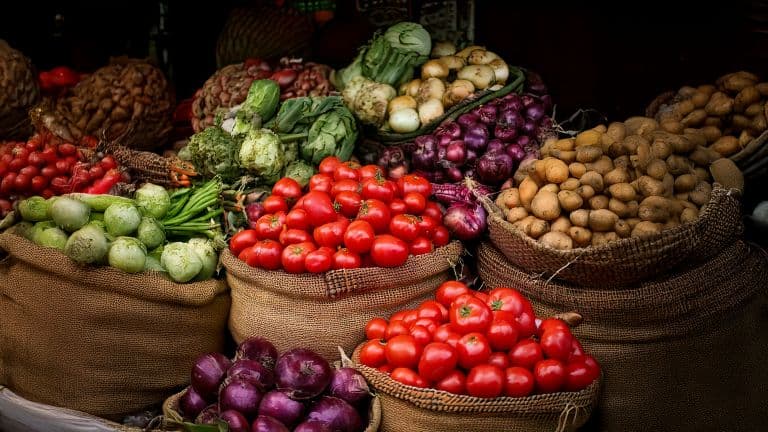 India WPI Inflation Rises to 8.3% in April Amid Surge in Fuel and Crude Oil Prices