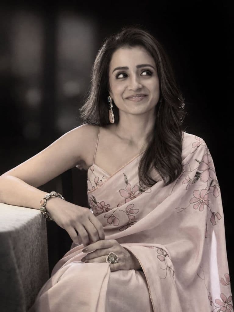 Actress Trisha Krishnan Spotted Smiling at Vijay's Swearing-in Ceremony