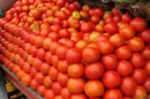 Seasonal shock components contributing to spikes tomato onion prices Economic Survey