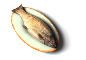 Have fish, soak up some sun for healthy brain