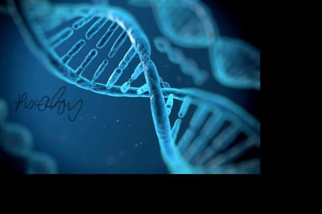 DNA and RNA their differences