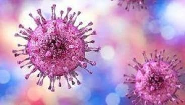 WHO: 1 Person Globally Acquires a New Genital Herpes Infection Every second; Estimated to Be 42 Million Worldwide Annually
