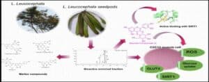 Medicinal Plant Subabul May Aid in Diabetes Control: IASST Study
