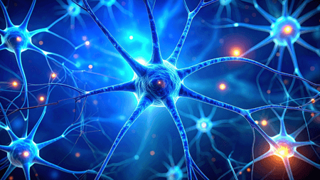 Study Suggests Dark Chocolate, Berries May Enhance Memory and Reduce Stress